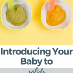 Transitioning to Solids – Puree Edition