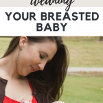 Tips to Gradually Wean Your Breastfed Baby