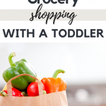 5 Tips for Grocery Shopping With A Toddler
