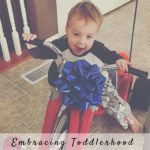 Embracing Toddlerhood: All Things Boy