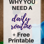 Why You Need a Daily Routine