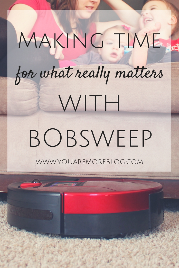Have more time to focus on what really matters by taking little things off your hands with BobSweep Pet Hair.