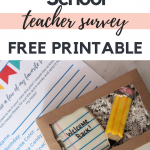 What Teachers Want From Parents + A Teacher Survey