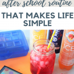 Establishing An After School Routine That Makes Life Simple