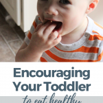 Encouraging Your Toddler to Eat Healthy Foods